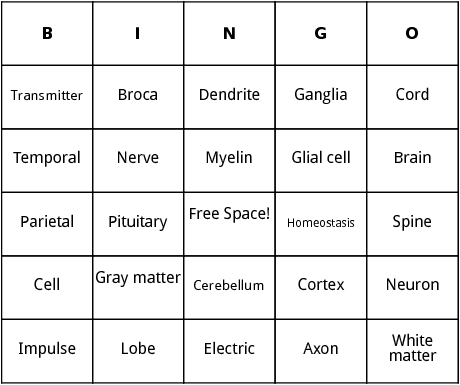 nervous system bingo